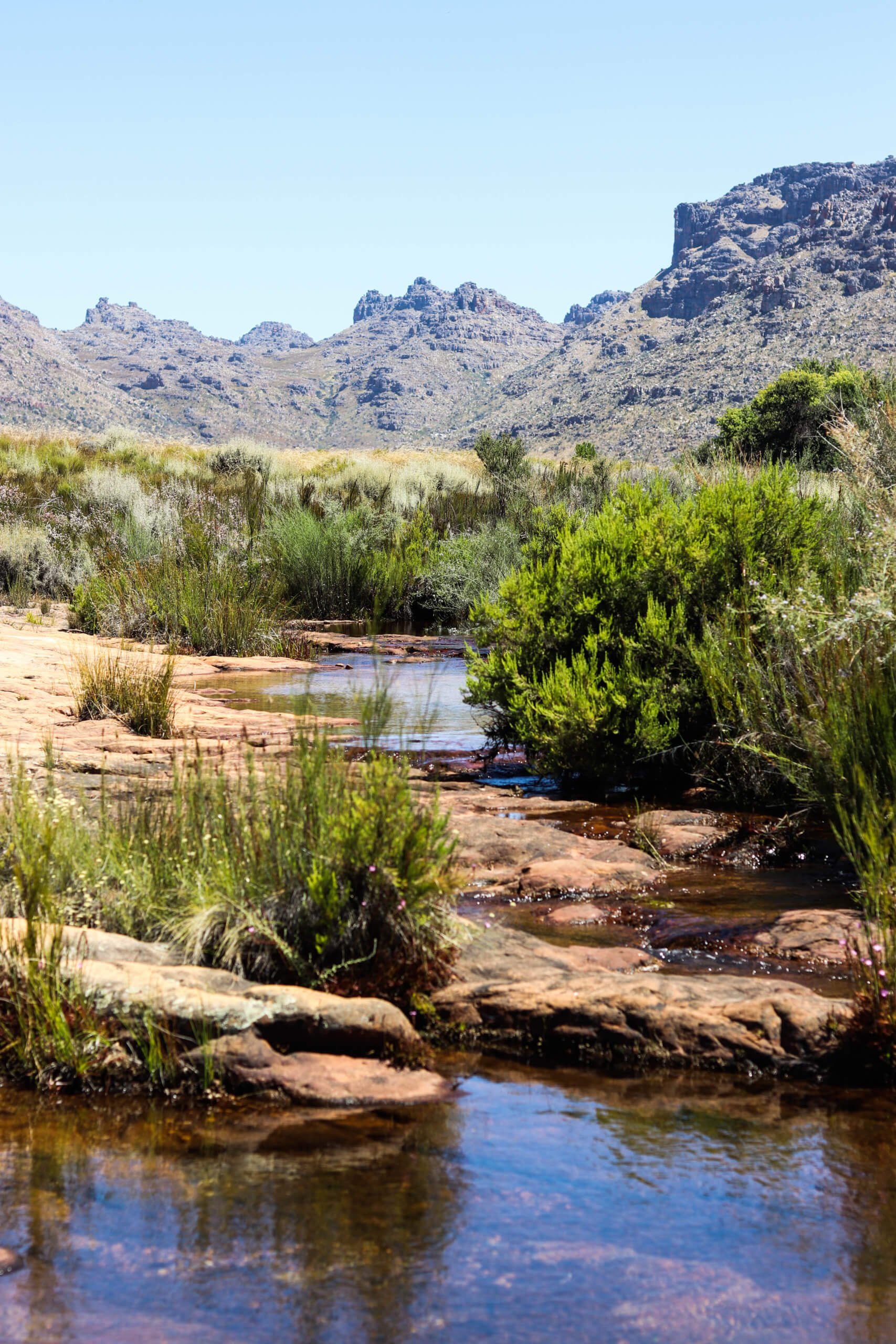 Cederberg - The Happy Traveller