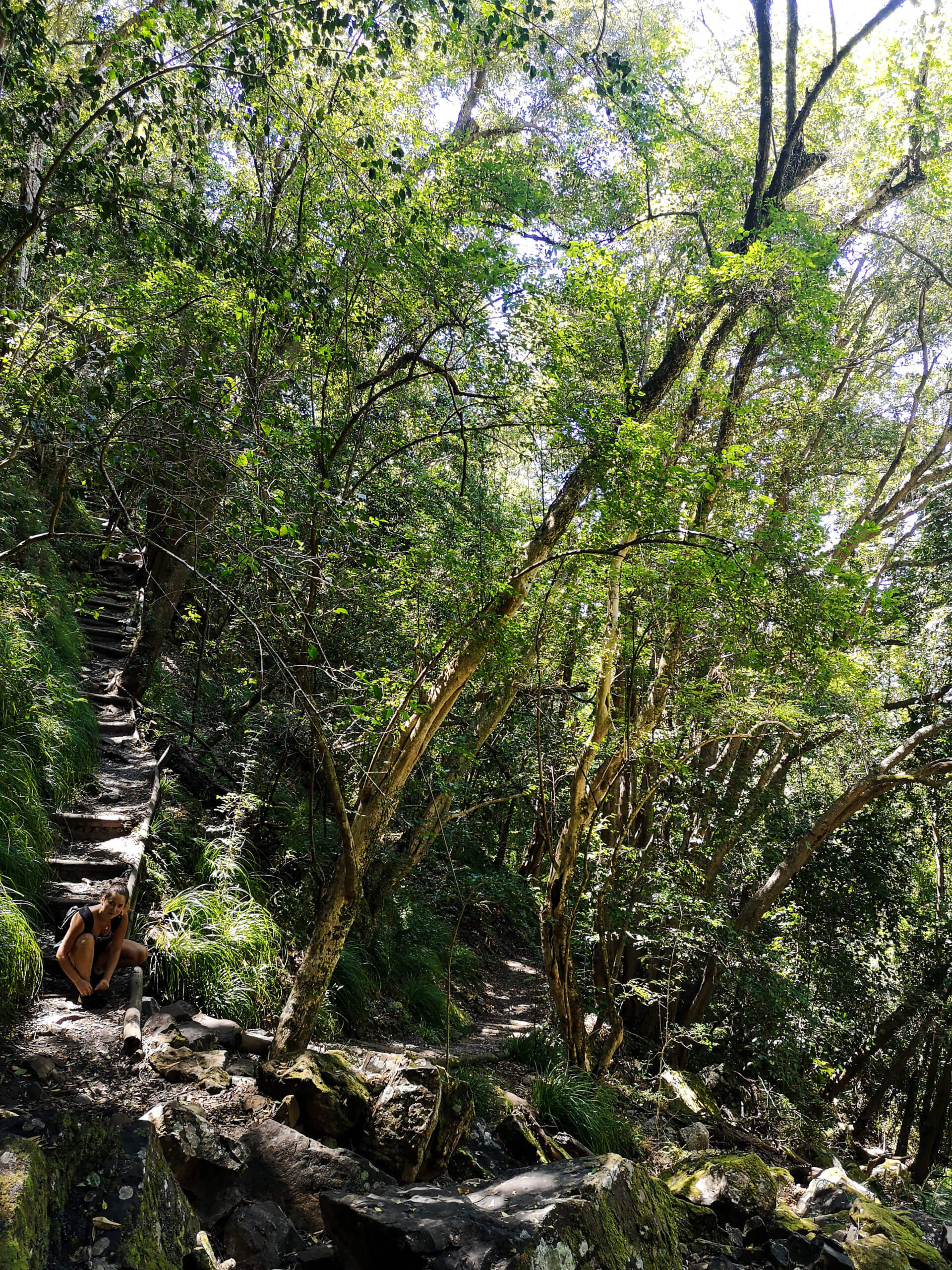 Skeleton & Nursery Ravine, Table Mountain Hike The Happy Traveller