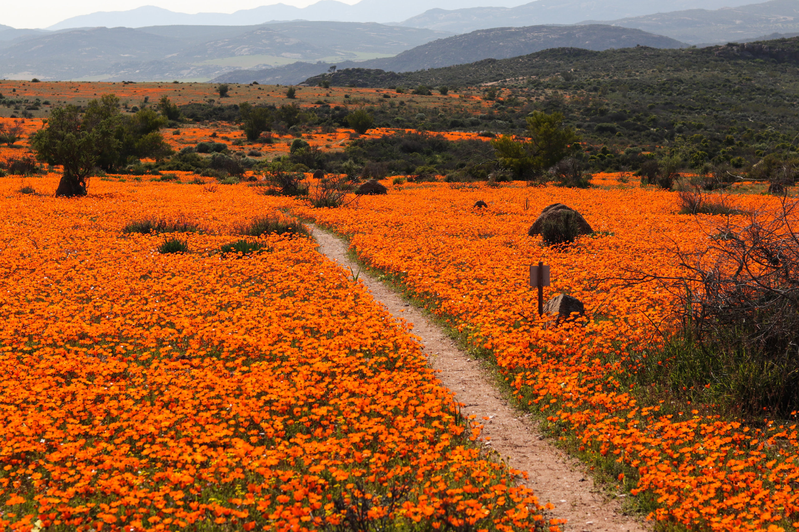 namaqualand tourism